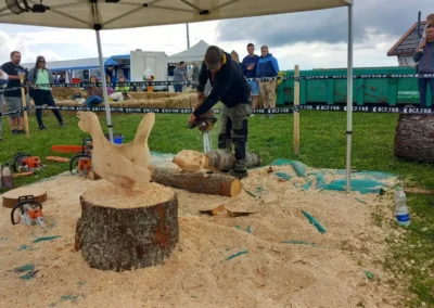 Démonstration de sculpture sur bois à la tronçonneuse en extérieur – Essentiel Bois Adejo Sàrl